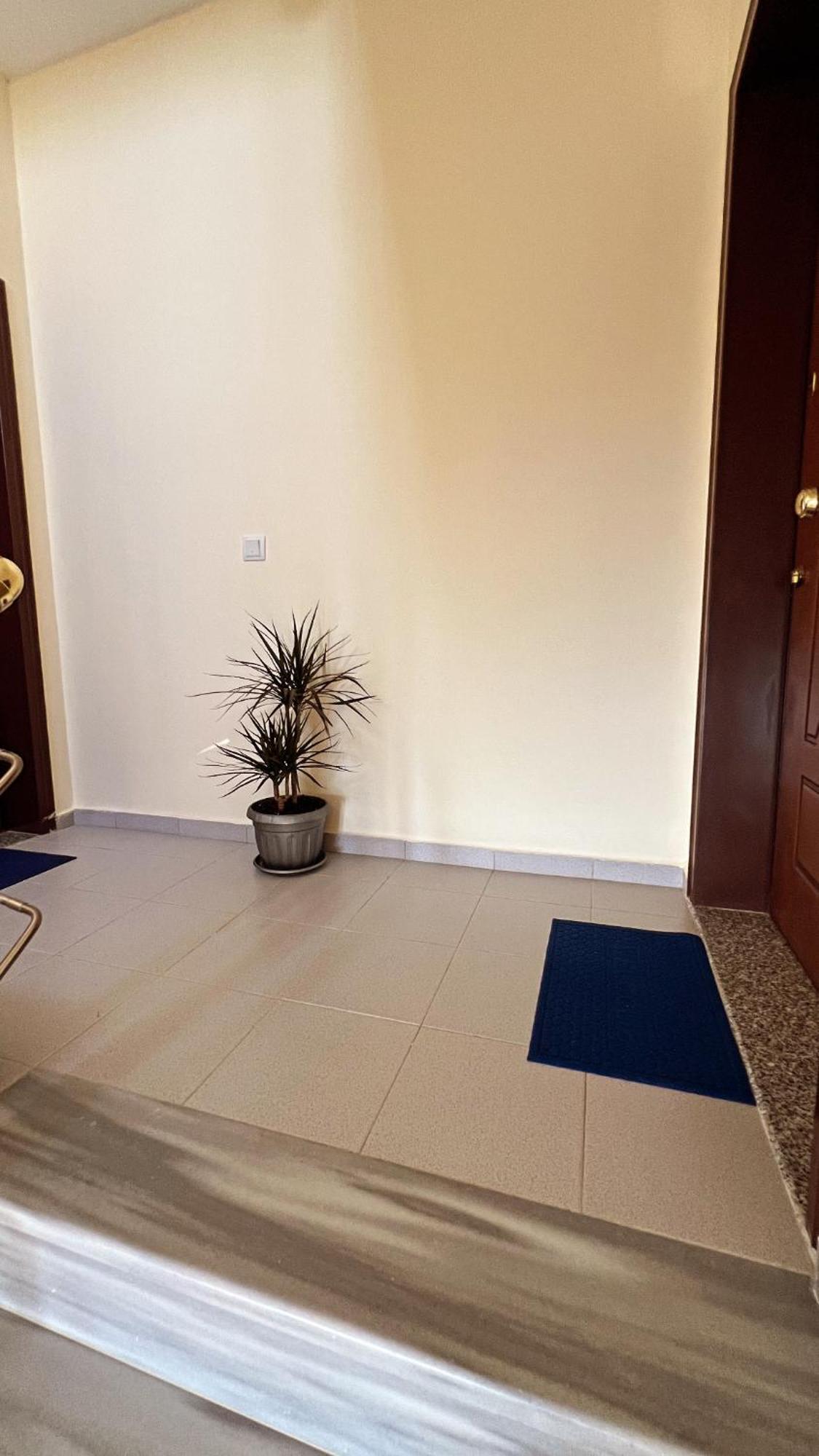 Apartment Sofia *